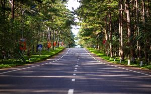 QUY NHƠN - PLEIKU - MĂNG ĐEN - BUÔN MA THUỘT - ĐÀ LẠT (8N7Đ)