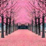 Gallery Thumbnail 1