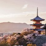 Gallery Thumbnail 5