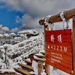 Gallery Thumbnail 2